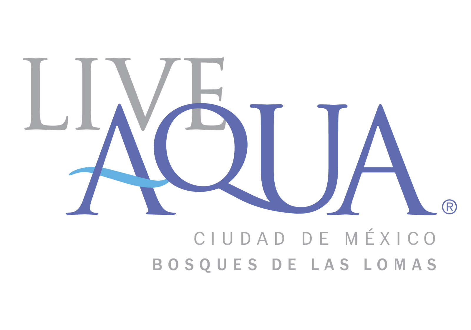 Logo 13