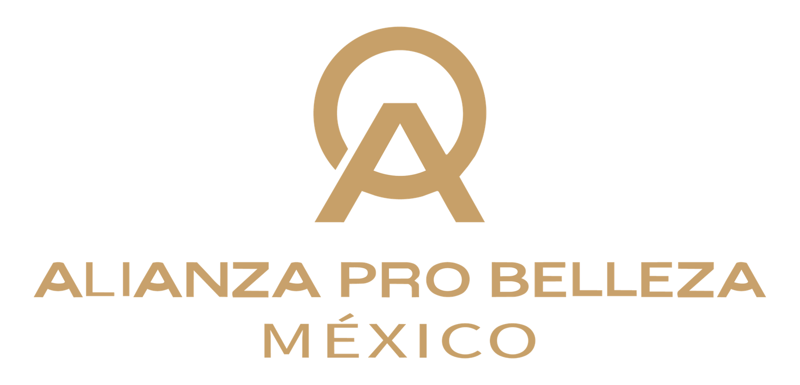 Logo 23